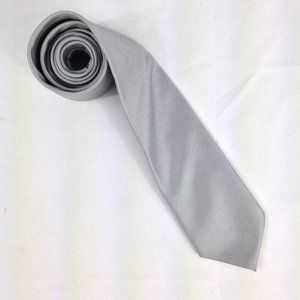 Edi Men's Silver Polyester Tie 60" x 3.25" Used